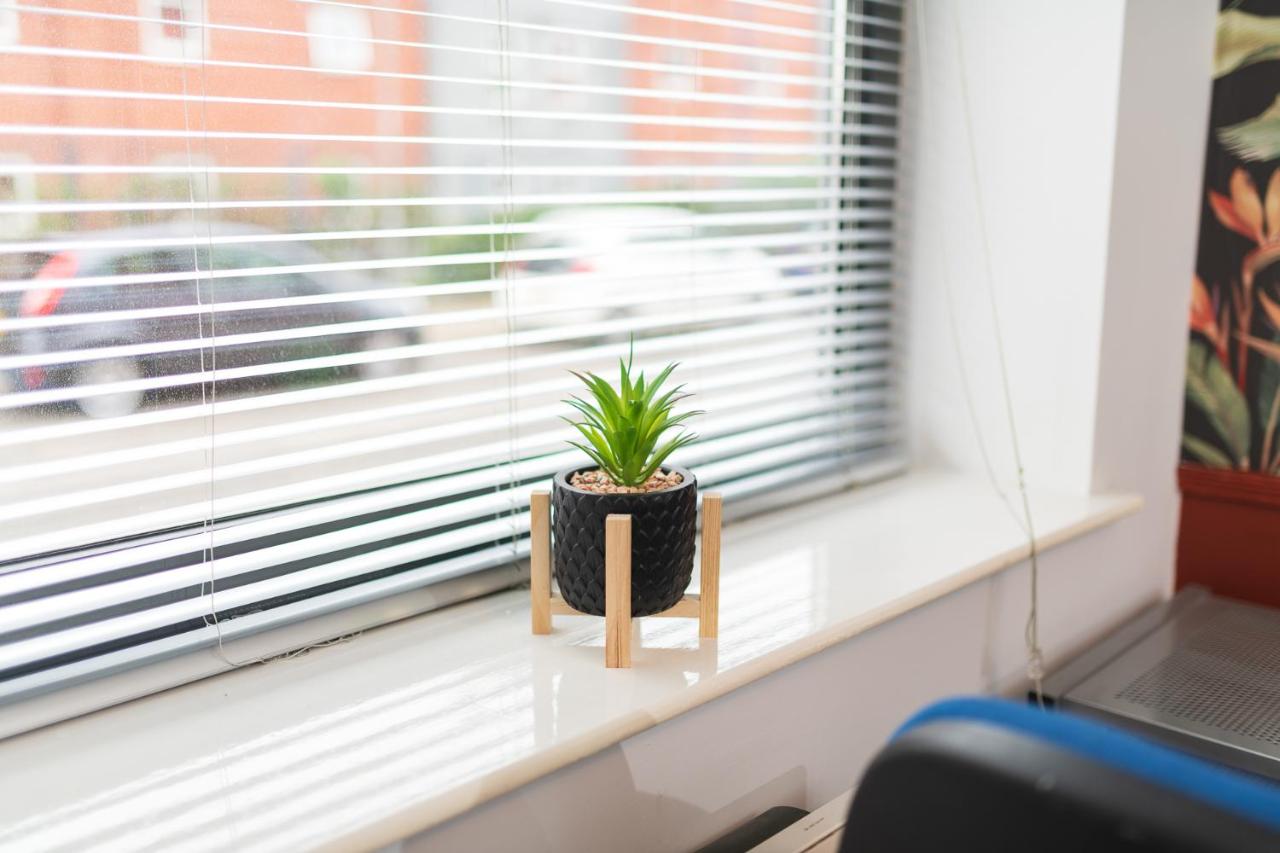 Plant on a sunny window sill in the Liverpool corporate apartment